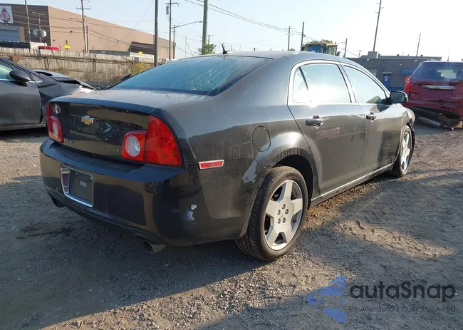 1G1ZJ577784264236: 40543731