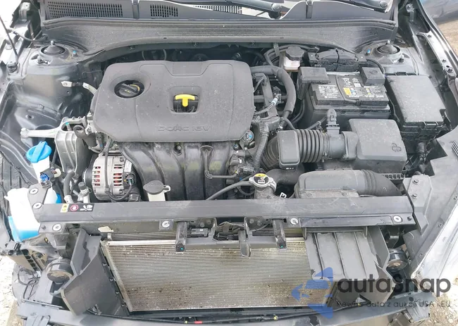 3KPF54AD5RE723318: 40543871