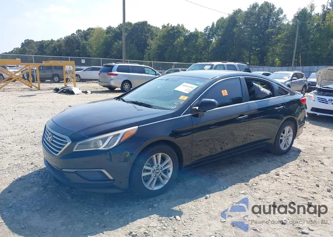 5NPE24AF9GH402932: 40544300