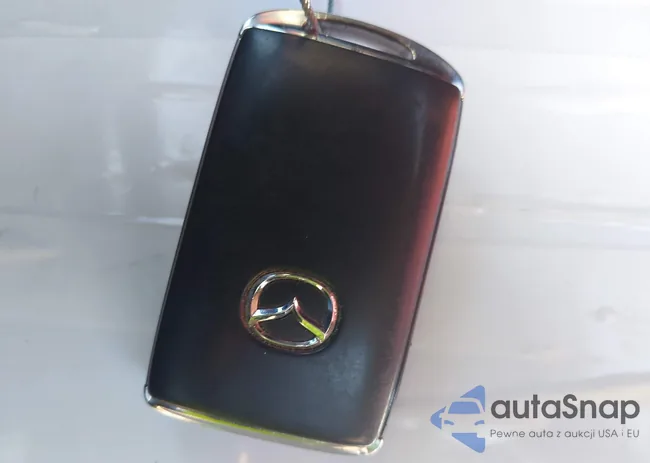 JM1BPBNM2L1158561: 40573763