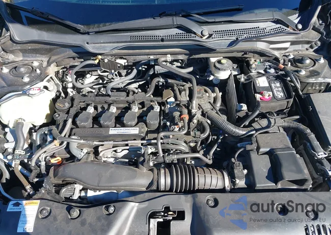 19XFC1F39KE018502: 40595217