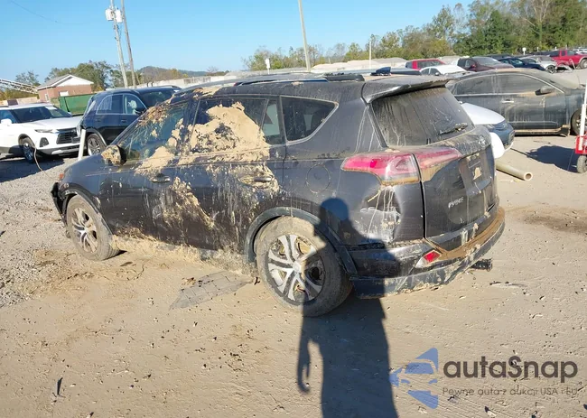 JTMZFREV8JJ183612: 40597970