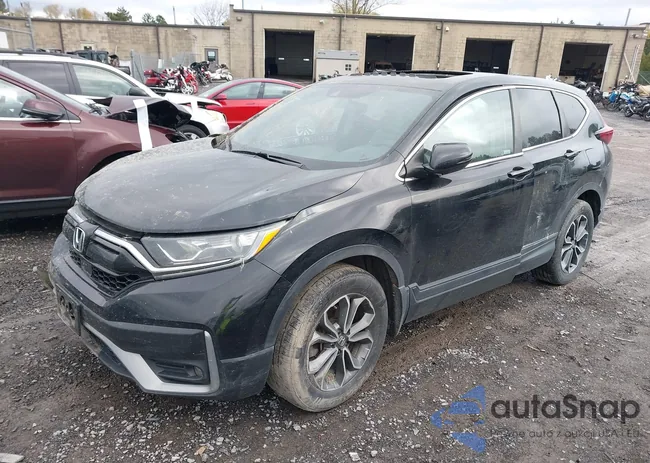 7FARW2H53LE016656: 40607816