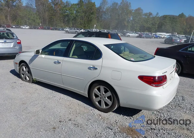 JTHBA30G165155767: 40611992