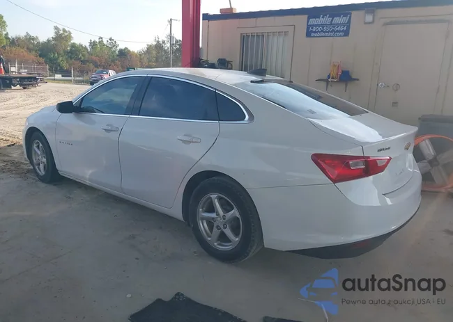 1G1ZB5ST5HF242564: 40616428