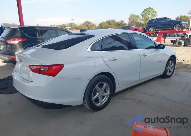 1G1ZB5ST5HF242564: 40616428