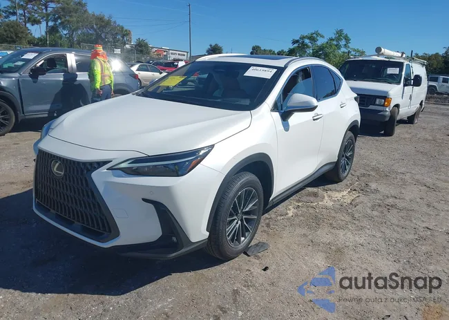 JTJGKCEZXS2046165: 40619894