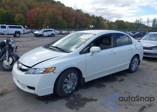 19XFA1F56BE034096: 40621735