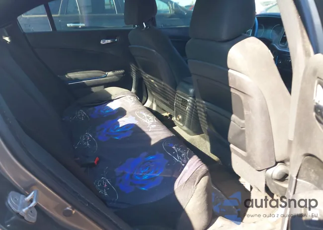 2C3CDXBG2CH156338: 40628579