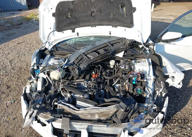 19XFC1F72LE212275: 40631981