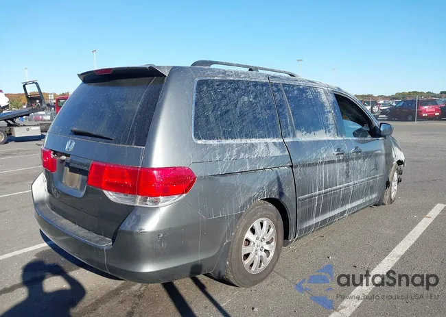 5FNRL38668B408931: 40643829