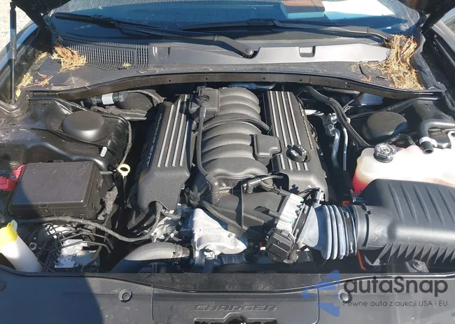 2C3CDXGJ8PH655915: 40658409