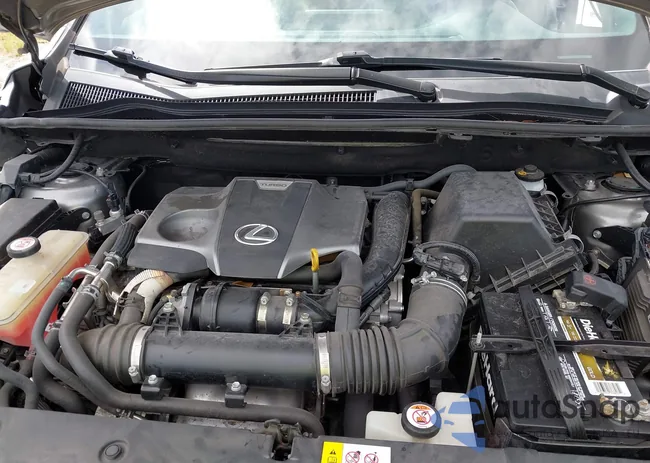 JTJYARBZ1H2052993: 40659926