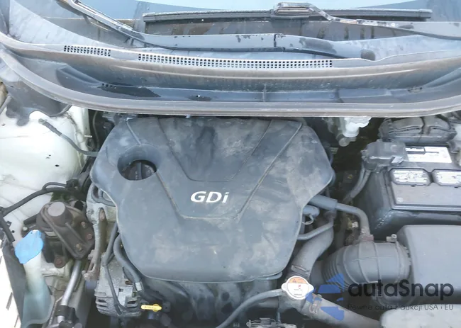 KNADN4A34C6051261: 40665406