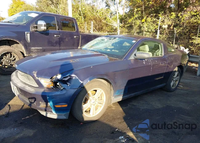 1ZVBP8AMXB5128740: 40669223