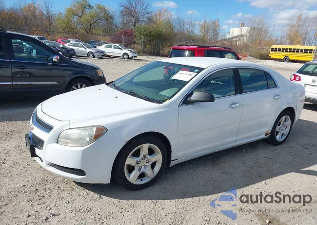 1G1ZB5E17BF252157: 40673395