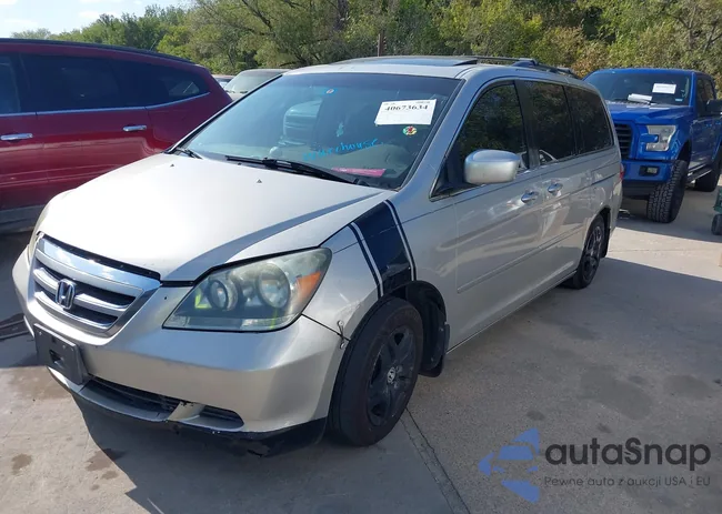 5FNRL38695B411320: 40673634