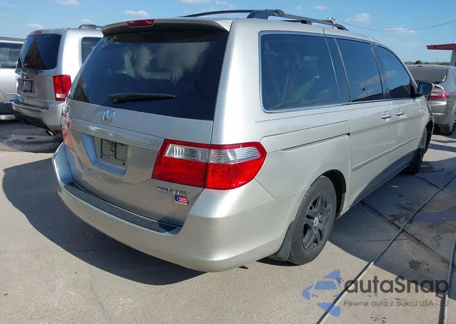 5FNRL38695B411320: 40673634