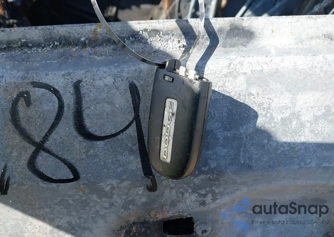 3C4PDCBG4GT156229: 40692484