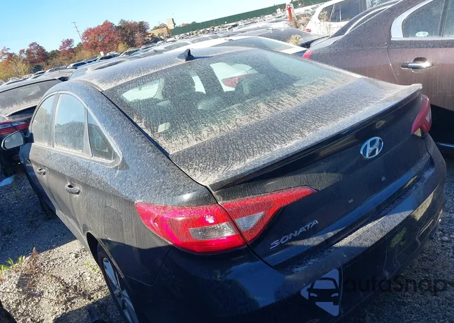 5NPE24AF9HH439125: 40700655