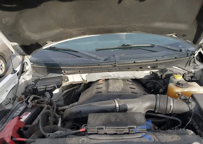 1FTFW1ET1EFB06866: 40703441