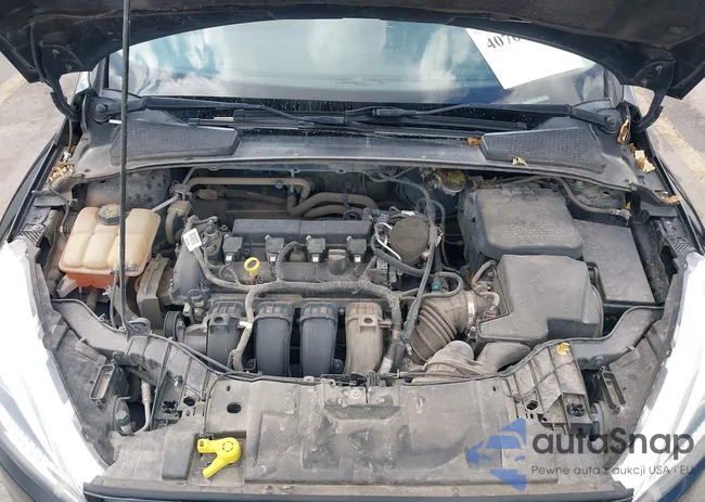 1FADP3E26GL297301: 40706959