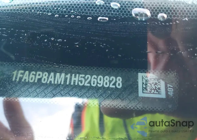 1FA6P8AM1H5269828: 40723372