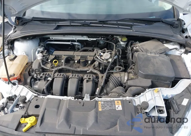 1FADP3E2XGL362246: 40731512