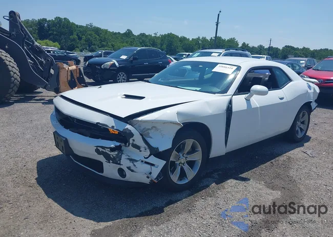 2C3CDZAG9MH623463: 40733915