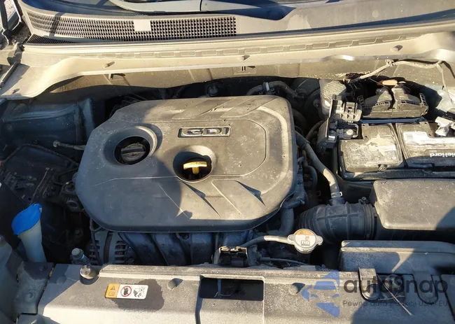 KNDJP3A59K7666182: 40740984