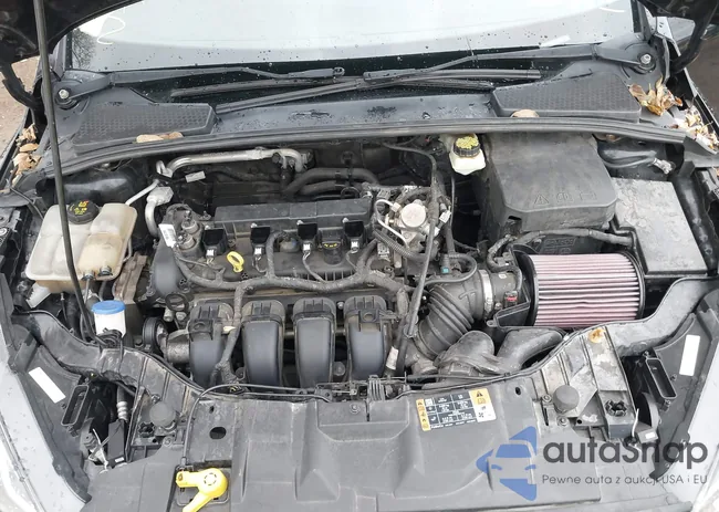 1FADP3F28HL259682: 40772206