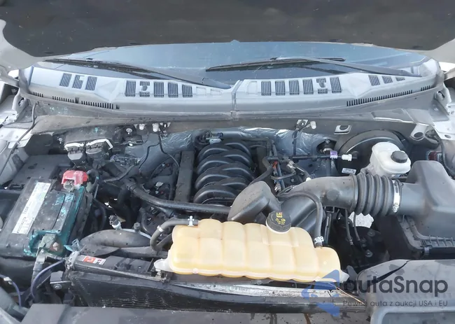 1FTEW1CF6FKD81568: 40817528