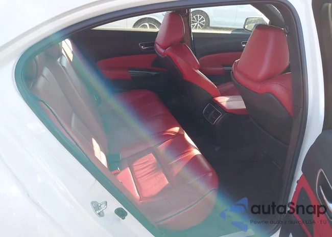 19UUB3F60KA005206: 40834935