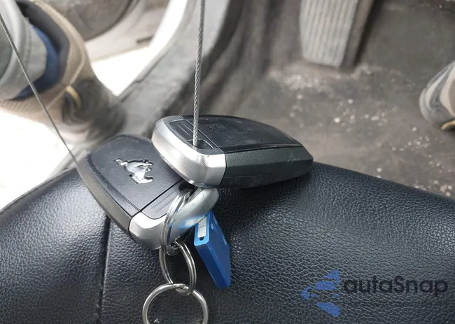 1FA6P8CF8L5159799: 40839997