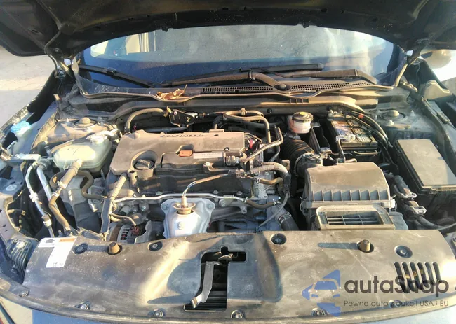 19XFC2F62LE024451: 40854036