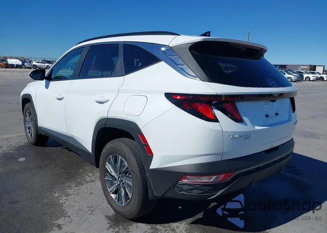 KM8JBCD17RU213273: 40860462