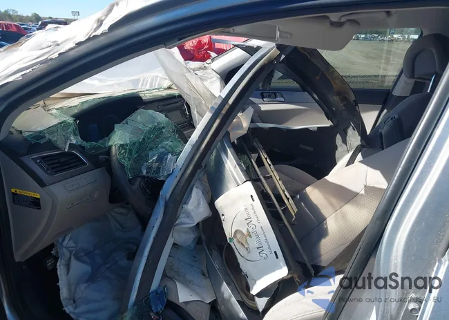 5NPE24AFXHH516875: 40864596