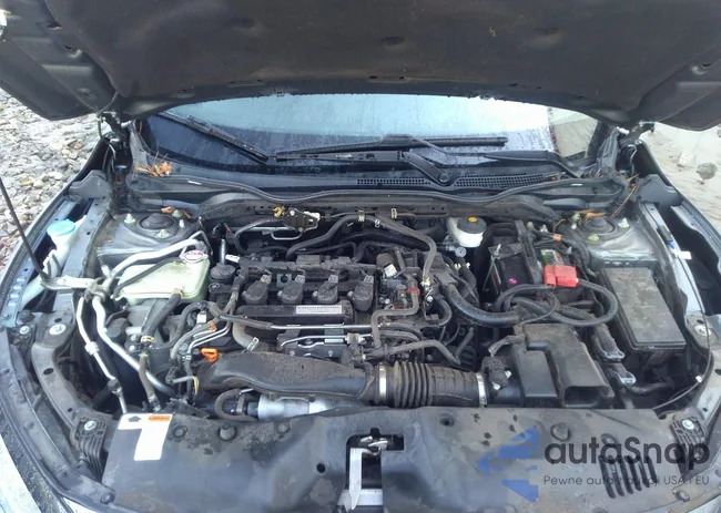 SHHFK7H5XHU219489: 40873392