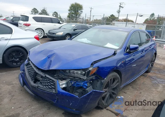 19UUB2F6XKA006356: 40890700