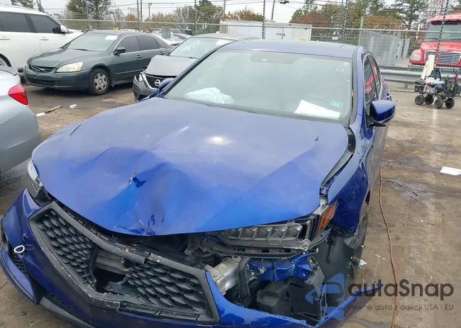 19UUB2F6XKA006356: 40890700