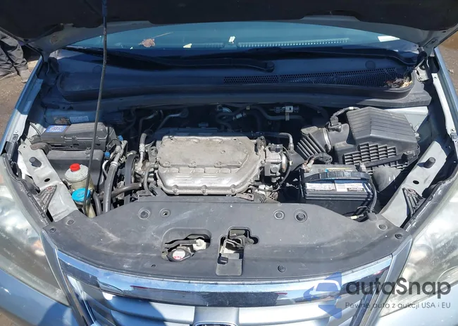 5FNRL38618B034776: 41912306