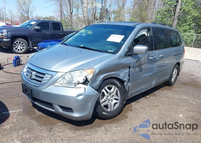 5FNRL38618B034776: 41912306