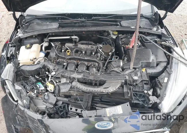 1FADP3F26GL251465: 41912485