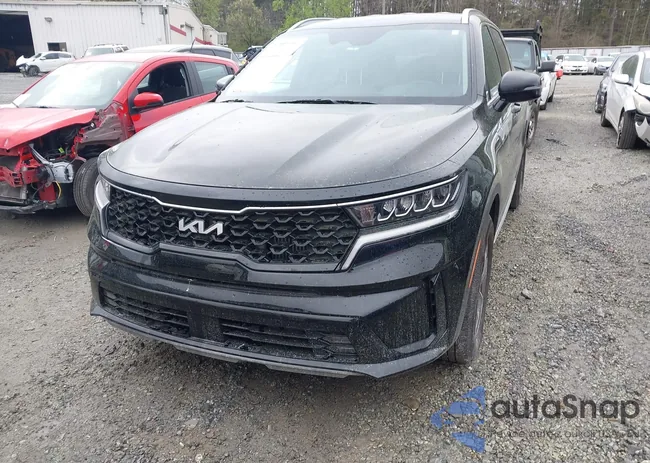 KNDRH4LG5P5198328: 41912997