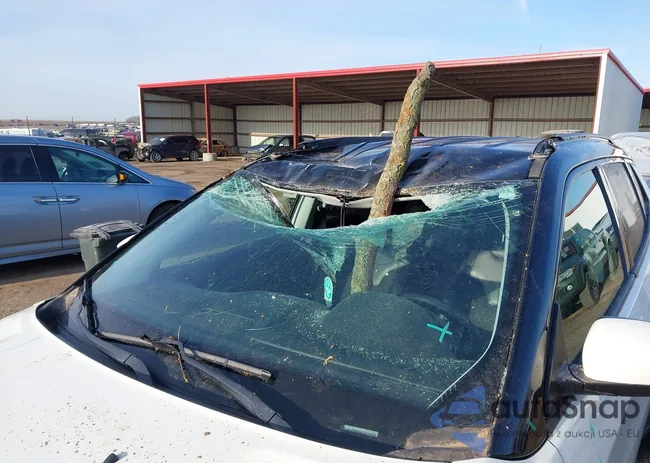 3C4NJDBB0KT629952: 41913931