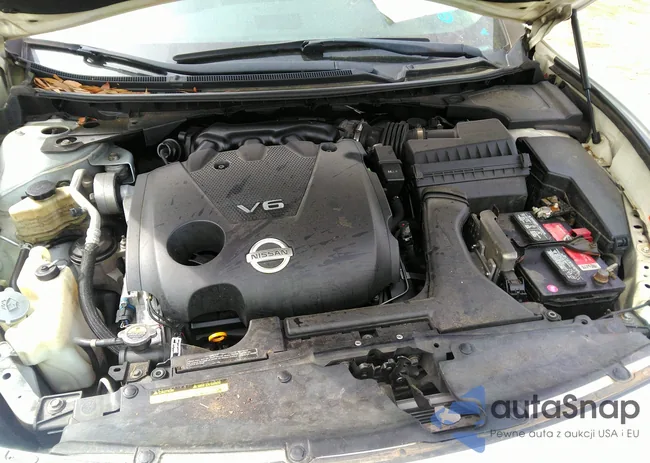 1N4AA5AP6BC831813: 41914036