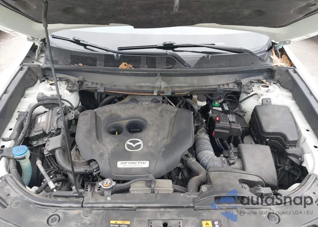 JM3TCBCY1G0110297: 41914744