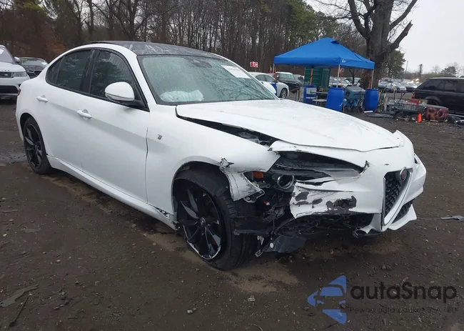 ZARFAMBN1N7666151: 41916781