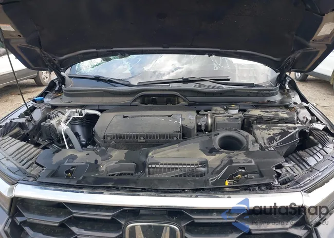 5FNYG2H7XRB014420: 41919635