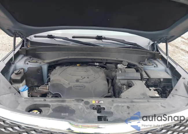 5XYP2DHC7LG048995: 41921321